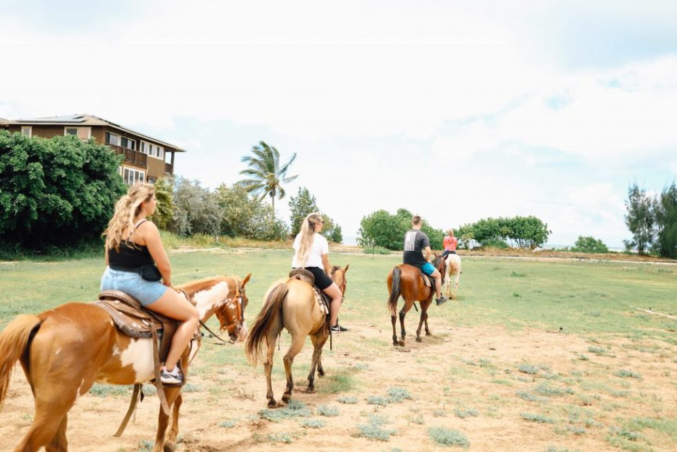 Hawaii Horseback Riding & ATV Tours North Shore Stables